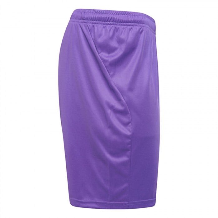 Puma Liga Core Shorts Prism Violet