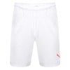Puma Liga Core Shorts White-Red