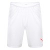 Puma Liga Core Shorts White-Red