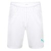 Puma Liga Core Shorts White-Green