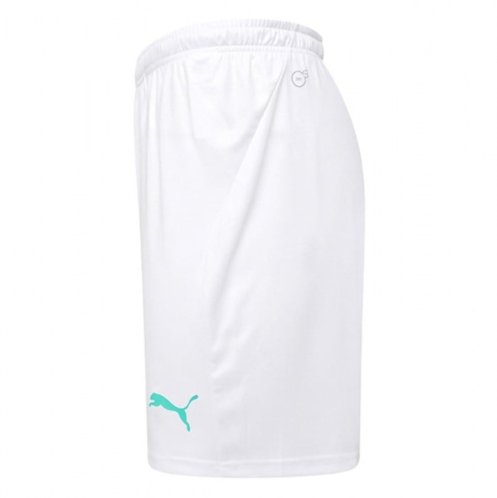 Puma Liga Core Shorts White-Green