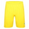 Puma Liga Core Shorts Cyber Yellow-Blue