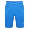 Puma Liga Core Shorts Electric Blue-White