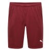 Puma Liga Core Shorts Cordovan-White