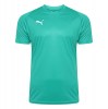 Puma Liga Core Short Sleeve Shirt Pepper Green-White
