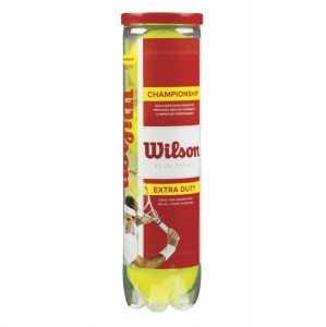 Wilson Championship 4 Ball Can