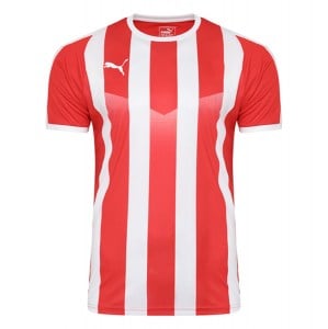 Puma Striped Short Sleeve Jersey