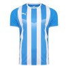 Puma Striped Short Sleeve Jersey Electric Blue-White