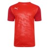 Puma Cup Core Training Tee Red