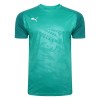 Puma Cup Core Training Tee Pepper Green