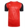 Puma Cup Core Training Tee Red-Black