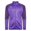 Puma Cup Core Poly Traning Jacket Prism Violet