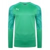 Puma Cup Goalkeeper Jersey Bright Green