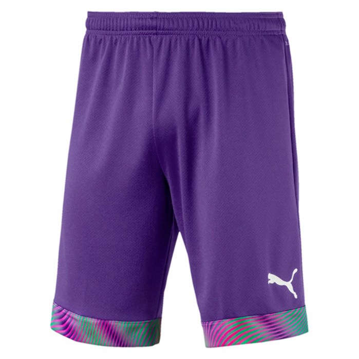 Puma Cup Goalkeeper Shorts