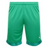 Puma Cup Goalkeeper Shorts Bright Green