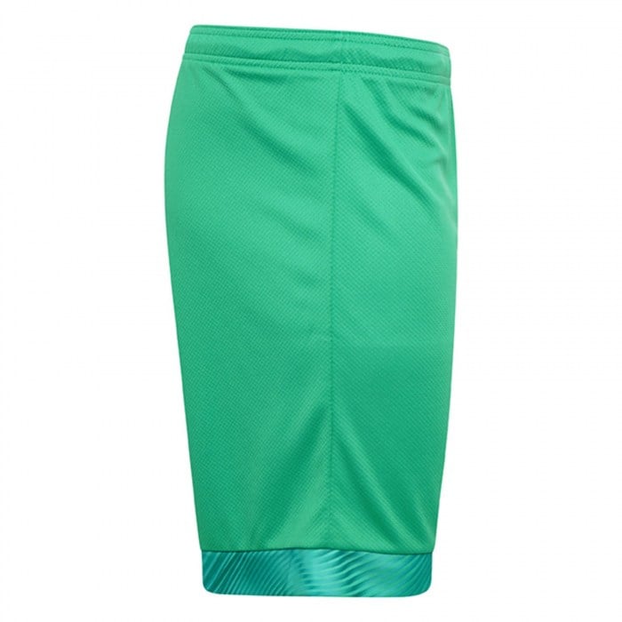 Puma Cup Goalkeeper Shorts Bright Green