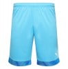Puma Cup Goalkeeper Shorts Aquarius
