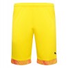 Puma Cup Goalkeeper Shorts Cyber Yellow