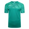 Puma Cup Short Sleeve Match Jersey Pepper Green