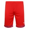 Puma Cup Match Shorts Red