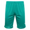 Puma Cup Match Shorts Pepper Green