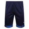 Puma Cup Match Shorts Peacoat