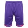 Puma Cup Match Shorts