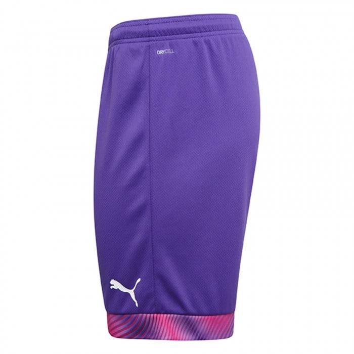 Puma Cup Match Shorts