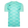 Puma Final Graphic Short Sleeve Jersey Glimmer Green