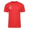 Puma Liga Training Tee
