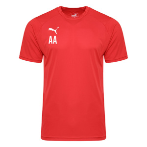 Puma Liga Training Tee