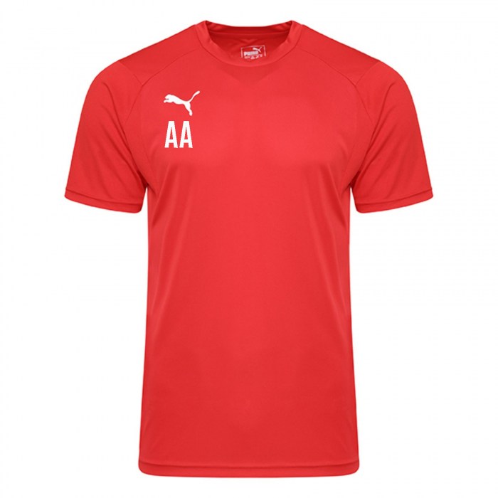 Puma Liga Training Tee