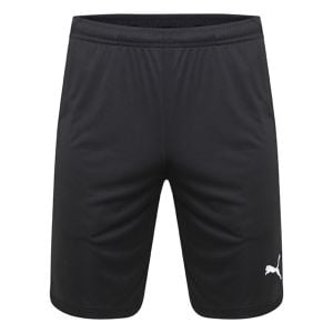 Puma Liga Pocketed Training Shorts