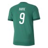 Puma Goal Short Sleeve Jersey Pepper Green