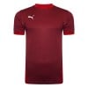 Puma Goal Short Sleeve Jersey