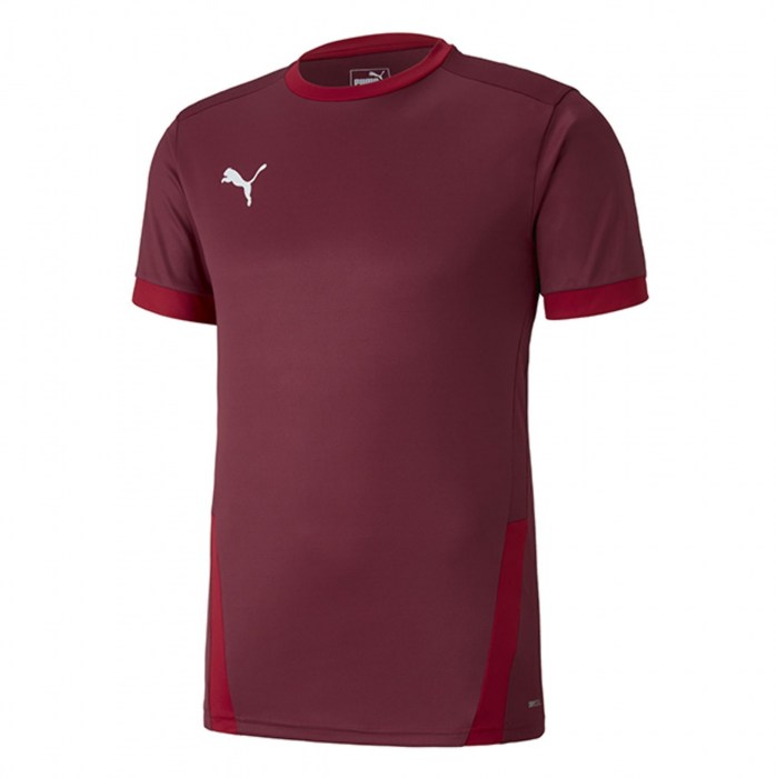 Puma Goal Short Sleeve Jersey