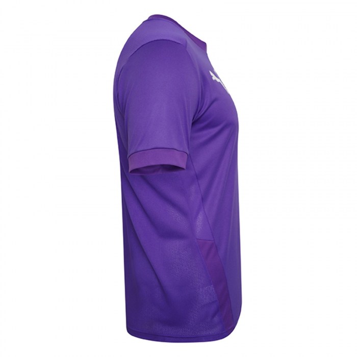 Puma Goal Short Sleeve Jersey Prism Violet