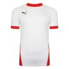 Puma Goal Short Sleeve Jersey White-Red