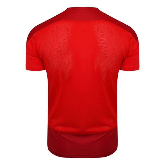Puma Goal Training Shirt