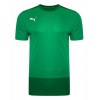 Puma Goal Training Shirt Pepper Green-Power Green