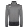Puma Goal Training Jacket Grey-Asphalt