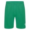Puma Liga Shorts Pepper Green-White