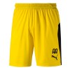 Puma Liga Shorts Cyber Yellow-Black