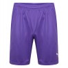 Puma Liga Shorts Prism Violet-White