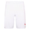 Puma Liga Shorts White-Red