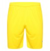 Puma Liga Shorts Cyber Yellow-Electric Blue