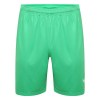Puma Liga Shorts Bright Green-White