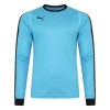 Puma Liga Goalkeeper Shirt