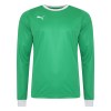 Puma Liga Goalkeeper Shirt Bright Green-White