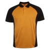 Training Polo
